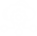API Integration