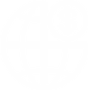 Global Network